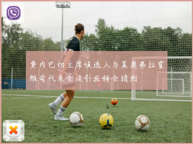 费内巴切主席候选人与莱奥弗拉霍维奇代表会谈引发转会猜测